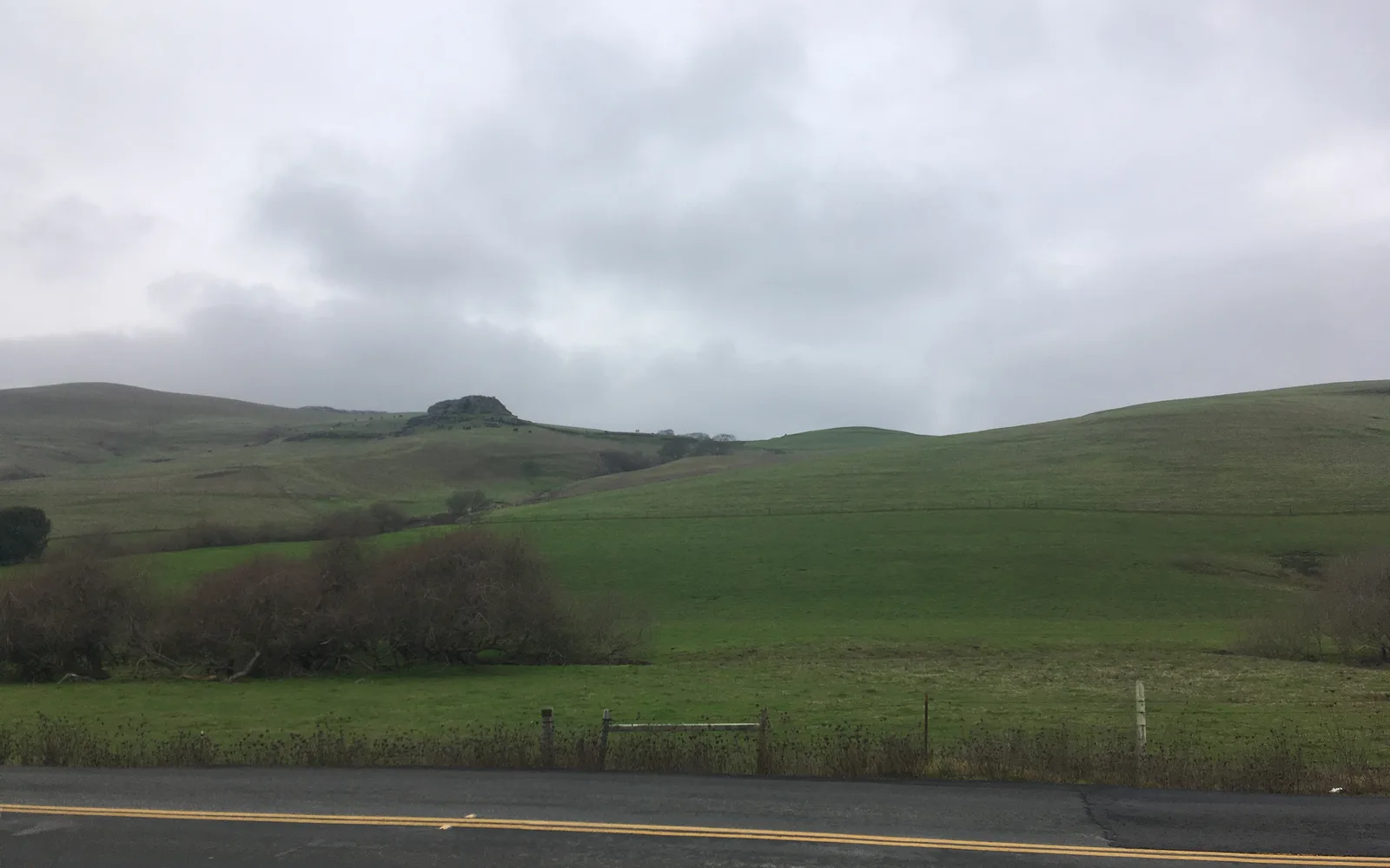 Rolling green hills in Sonoma County agricultural landscape during winter rains